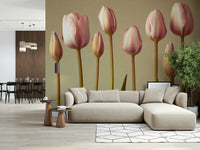 Beautiful light pink wall mural featuring Emerging Elegance tulips.