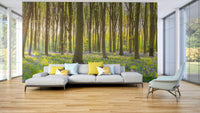 Serene glade mural for bedrooms or halls

