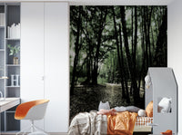 Enchanted Forest Pathway Wall Mural with dappled sunlight

