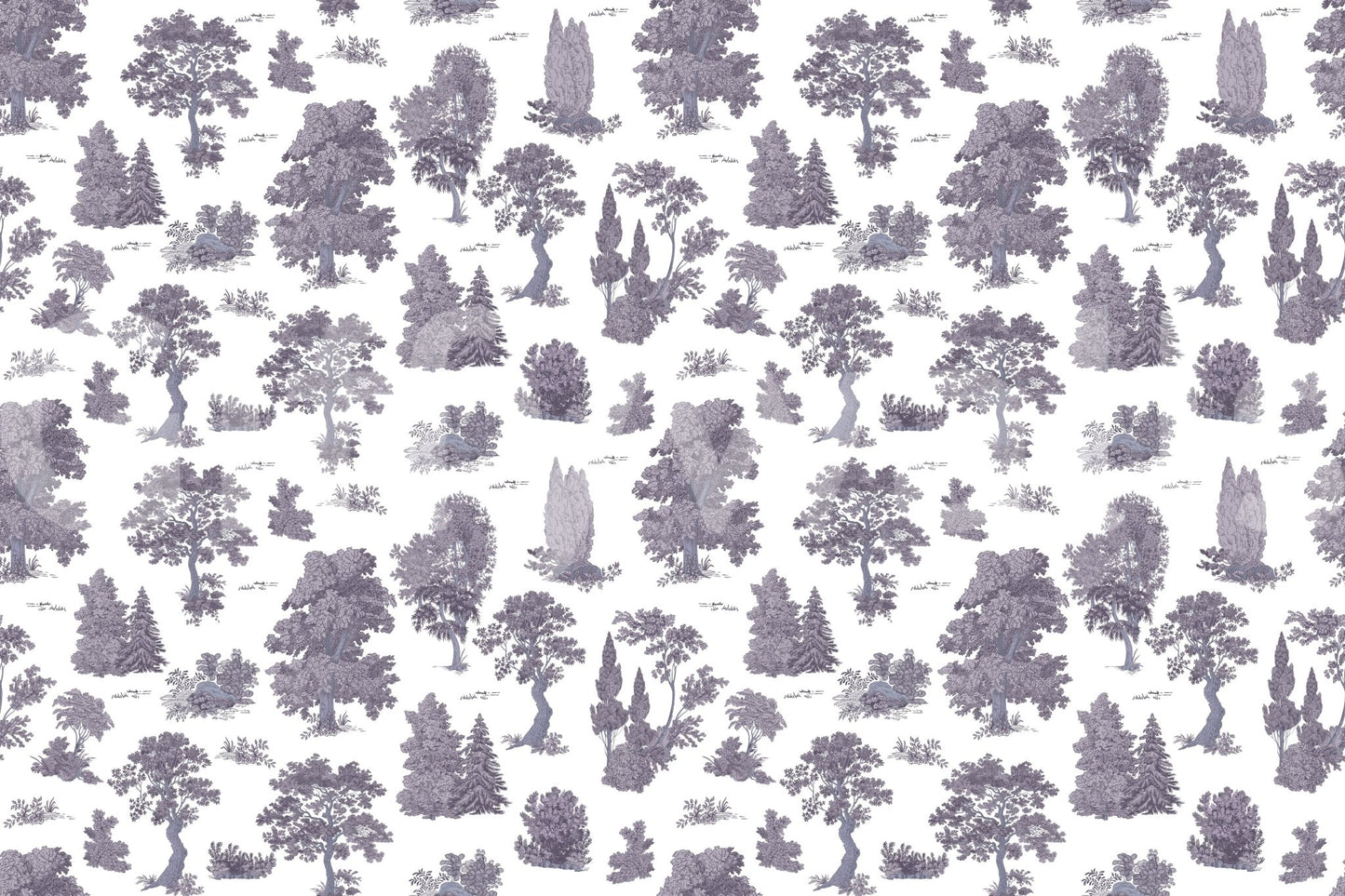 Enchanted grove, peaceful and calm

