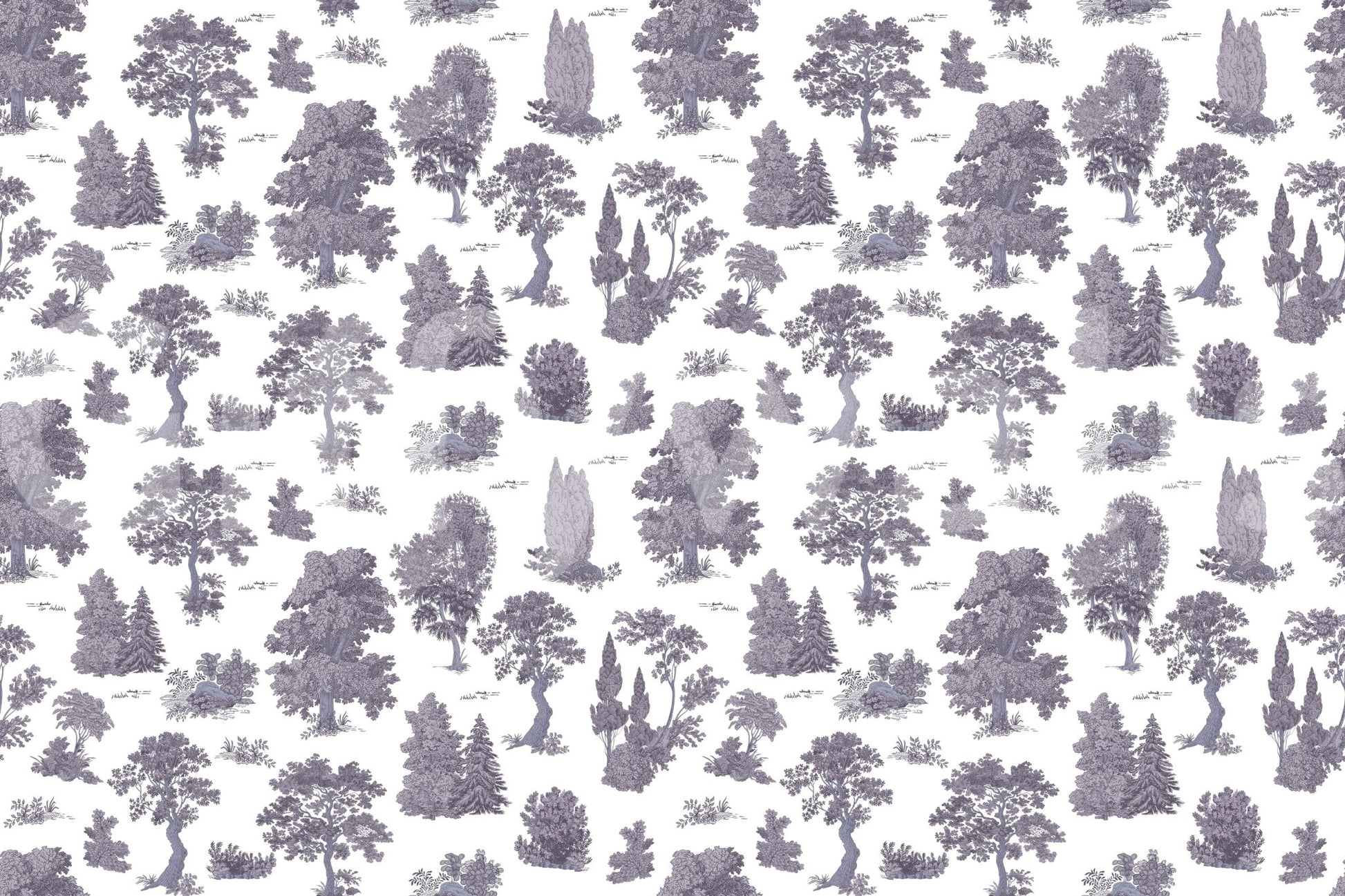 Enchanted grove, peaceful and calm

