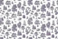 Enchanted grove, peaceful and calm

