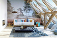 Inviting details and atmospheric composition.

