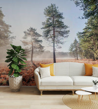 Sunlight filtering through hazy atmosphere.

