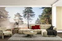 Ancient tranquility aesthetic.

