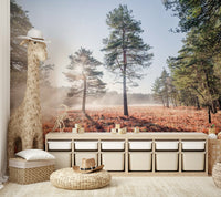 Serene escape and inspiring calm.

