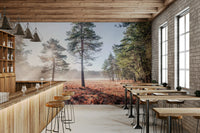 Breathtaking forest landscape with mist.

