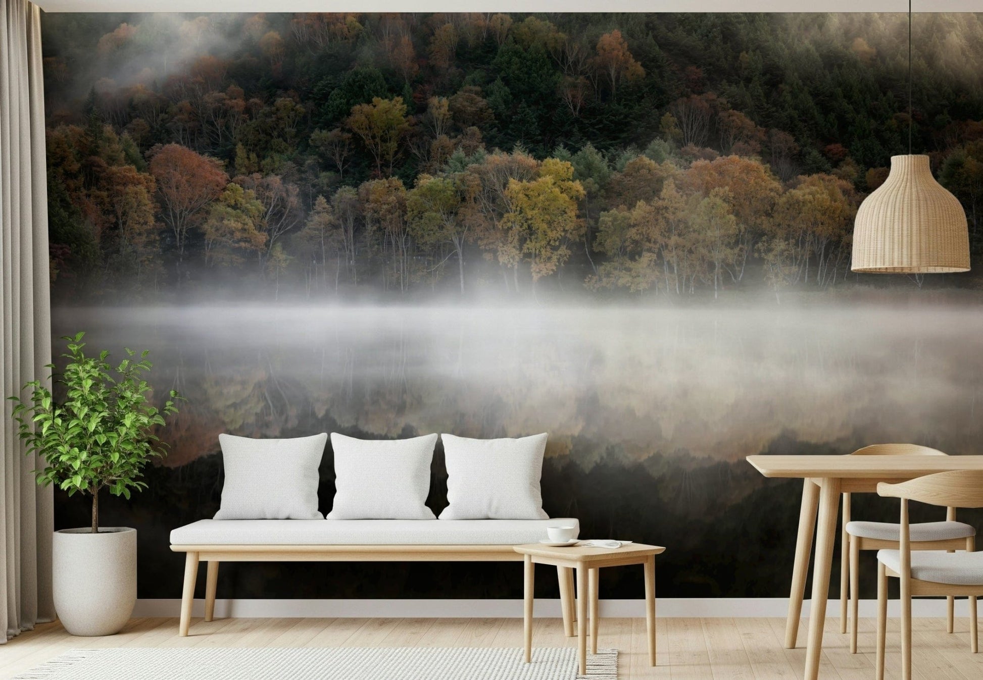 Forest edge in morning vapors Enchanted Woodland Mist Reflection wall decor.