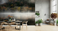 Beautiful seasonal forest image Enchanted Woodland Mist Reflection feature wallpaper.