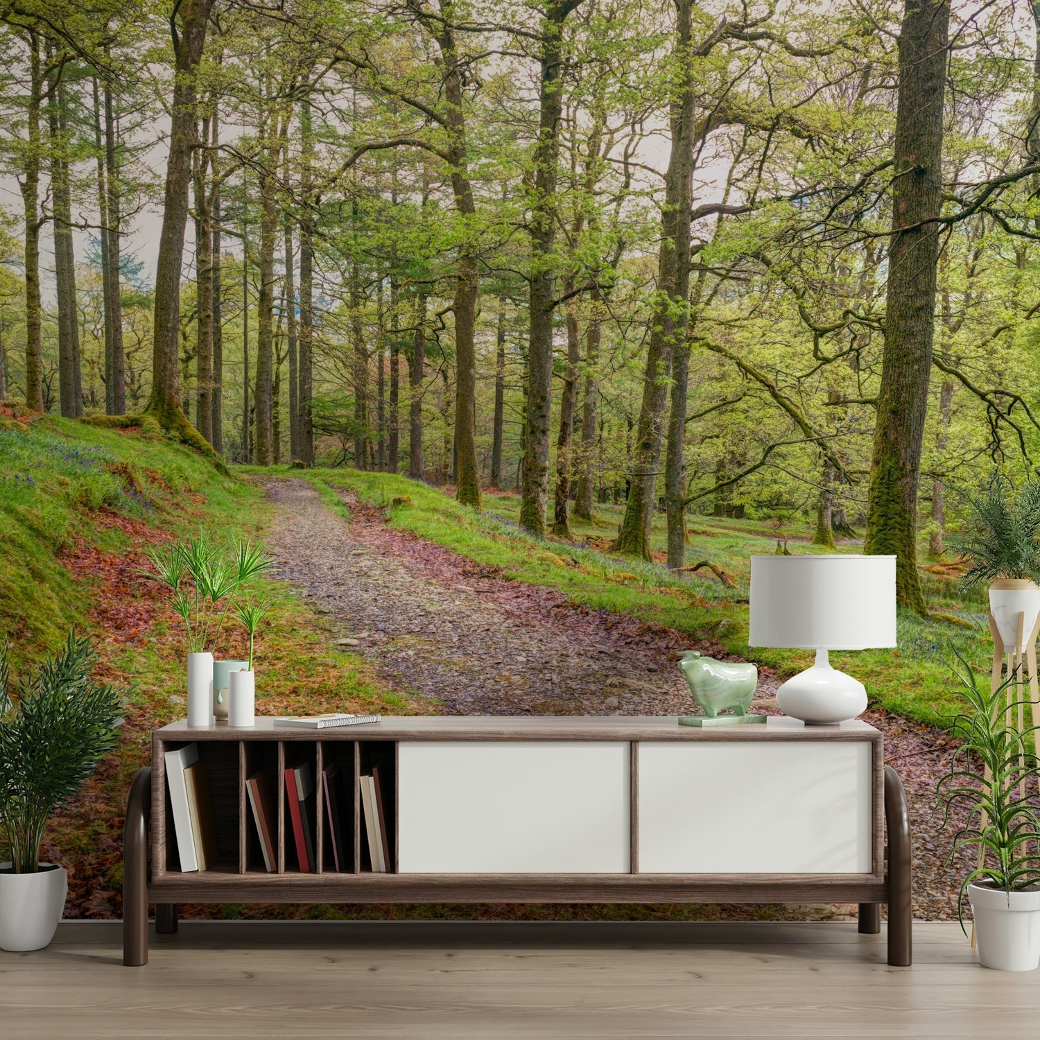 The light filters through the leaves in a magical way.

