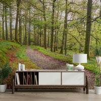 The light filters through the leaves in a magical way.

