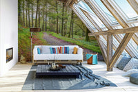 The path winds into the distance.

