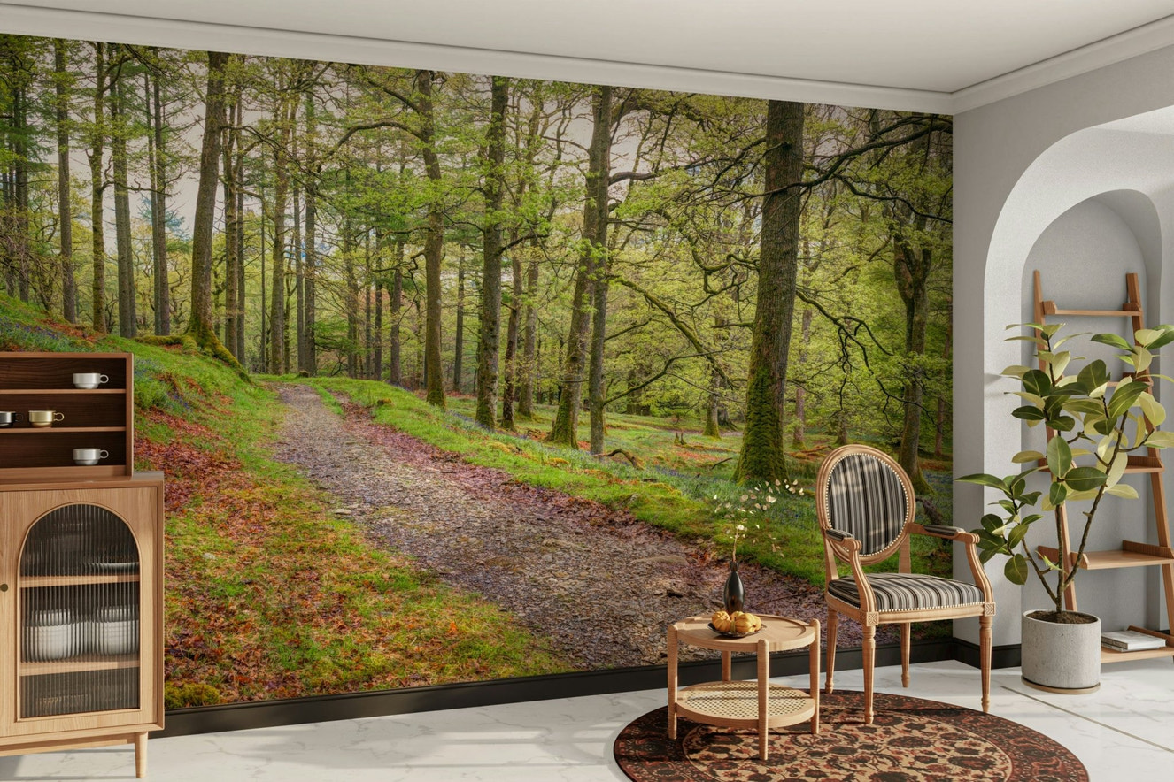 A wall mural featuring a path through a forest.

