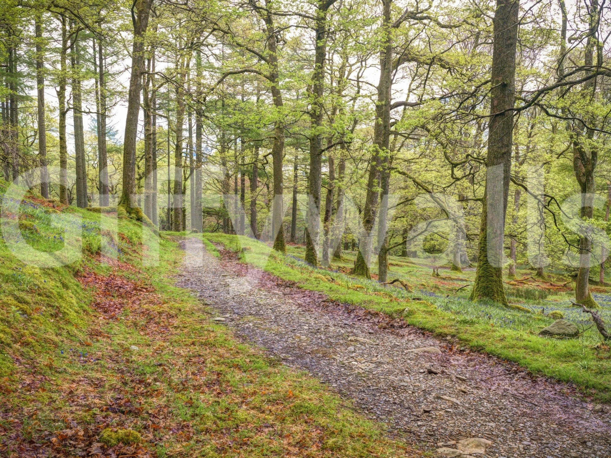 The feeling is one of peace and wonder.

