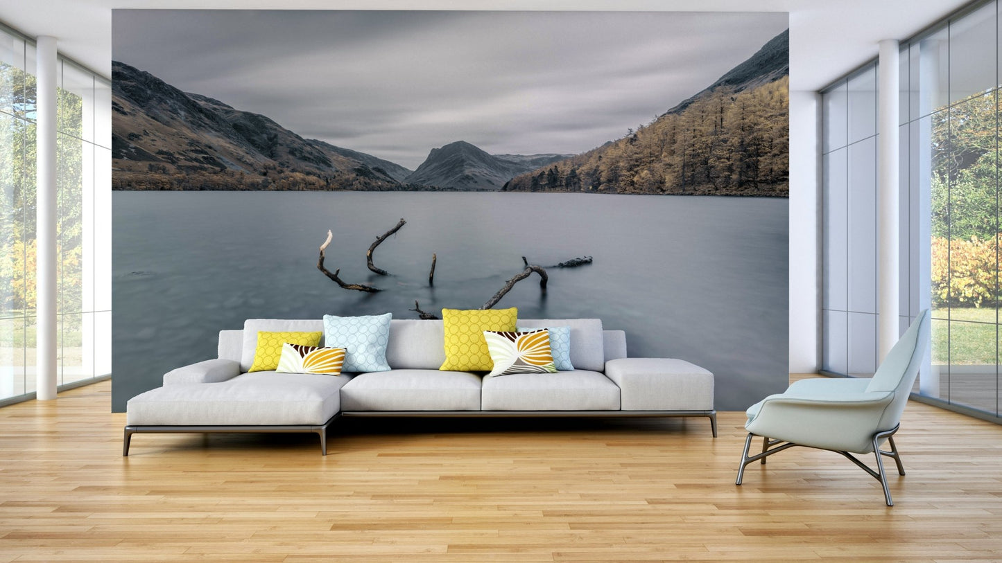 The mural gives a feeling of being in a quiet, natural place.

