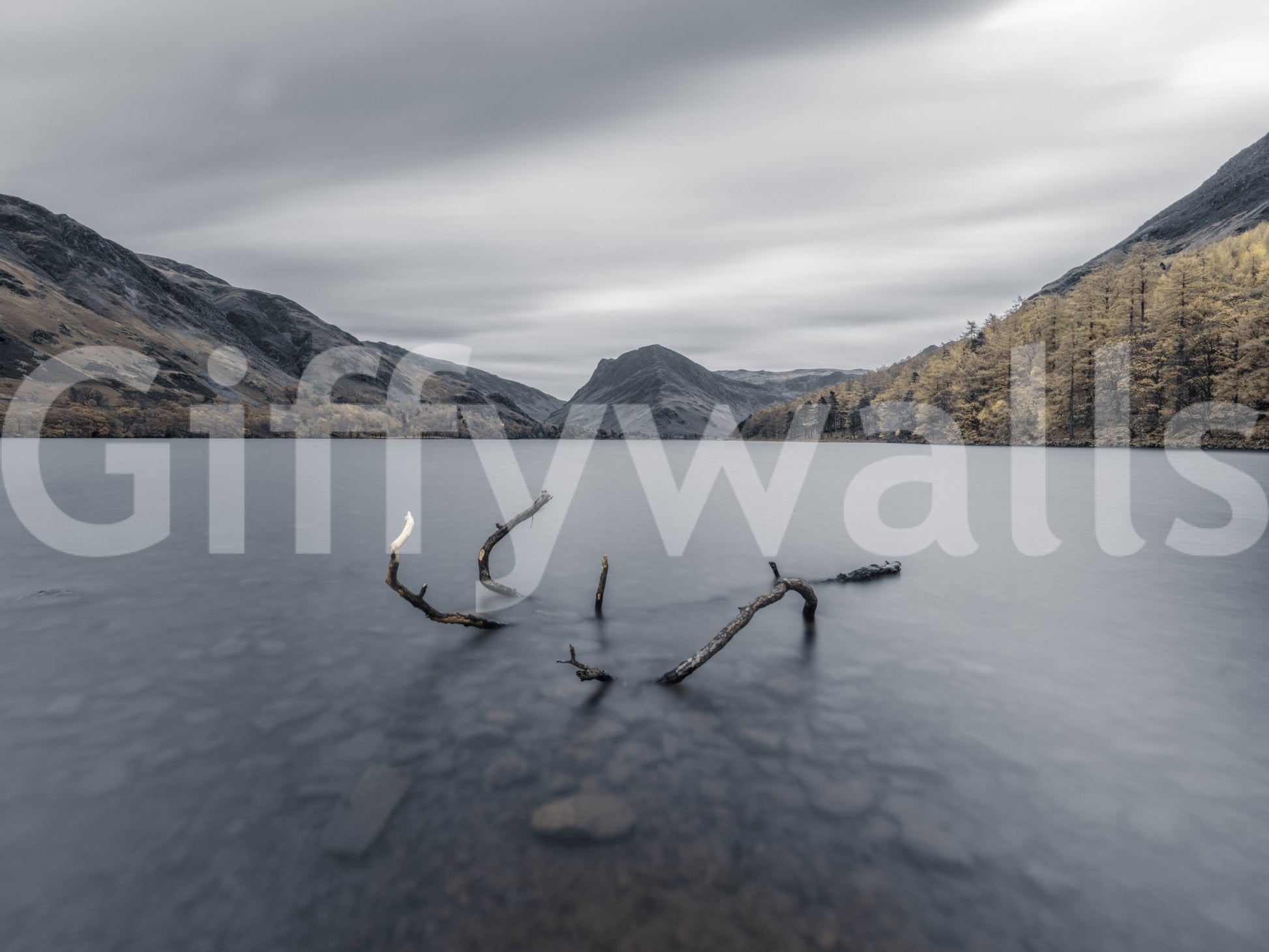 The image captures the natural beauty of the Lake District.

