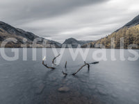 The image captures the natural beauty of the Lake District.

