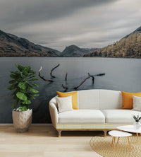 The feeling is one of quiet, natural beauty.

