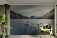 The mood is peaceful and tranquil.

