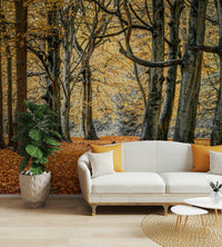 Golden light in a forest design.

