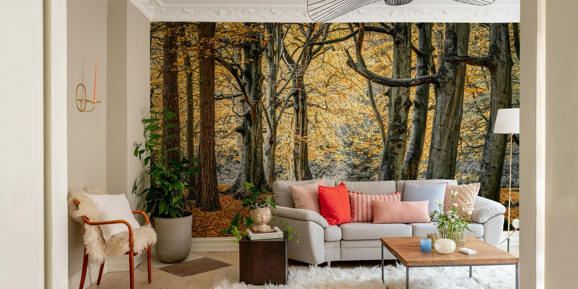 Trees with yellow and orange leaves.

