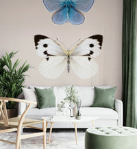 White and black English butterfly


