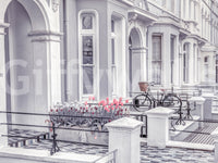 English Houses Facade Wall Mural