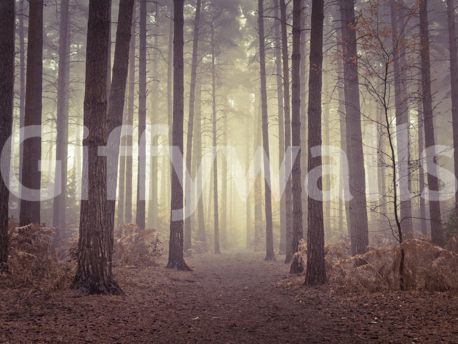 Realistic pine forest wall decor in a high ceiling entrance.