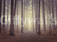 Realistic pine forest wall decor in a high ceiling entrance.