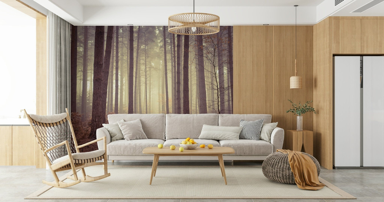Enigmatic Beauty of Forest Wall Mural in a minimalist living room.