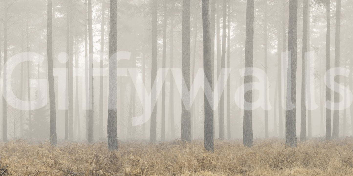Enigmatic Elegance Wall Mural