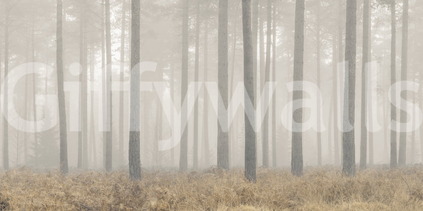 Enigmatic Elegance Wall Mural