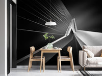 Erasmus Bridge Abstract Architectural Wall Mural - Giffywalls, B270