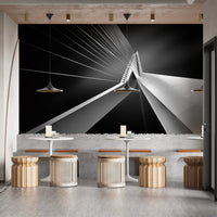 Erasmus Bridge Abstract Architectural Wall Mural - Giffywalls, B270