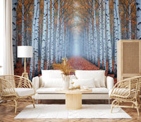 Ethereal Autumn Birches Wall Mural