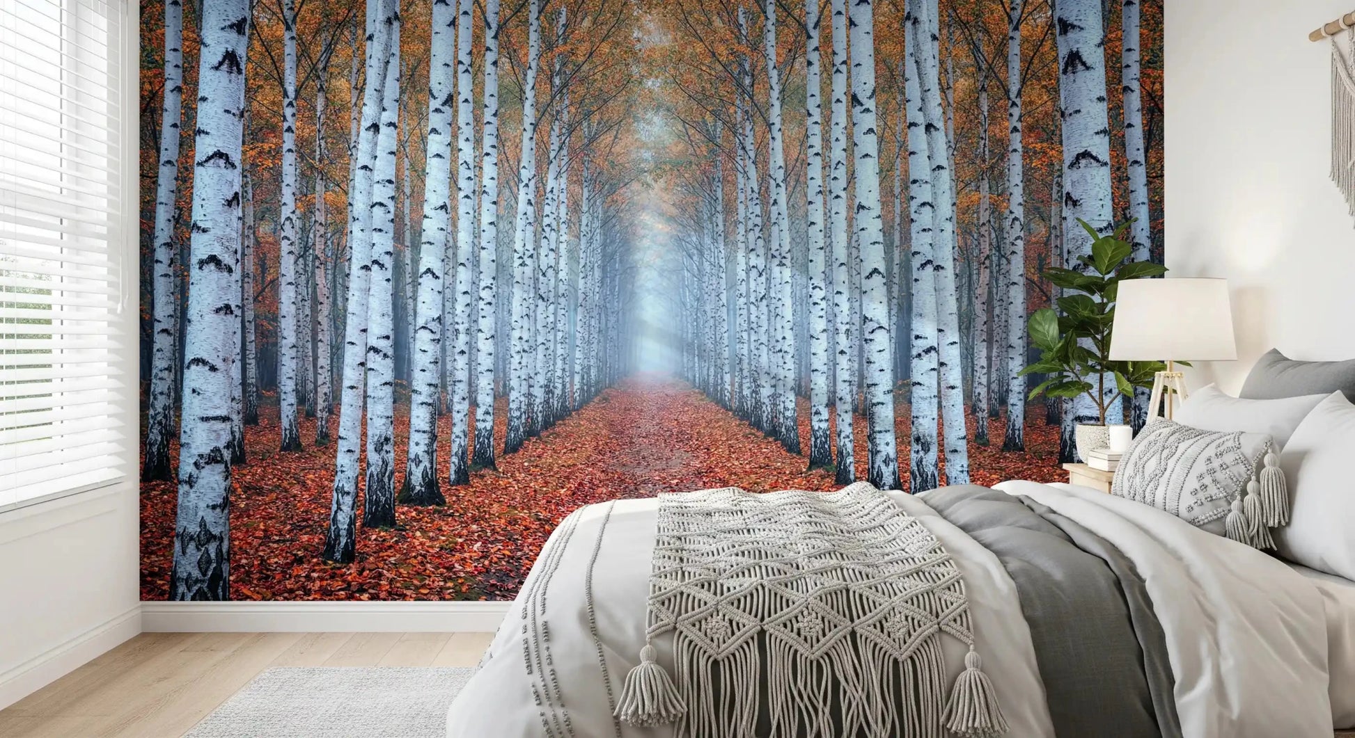 Ethereal Autumn Birches Wall Mural