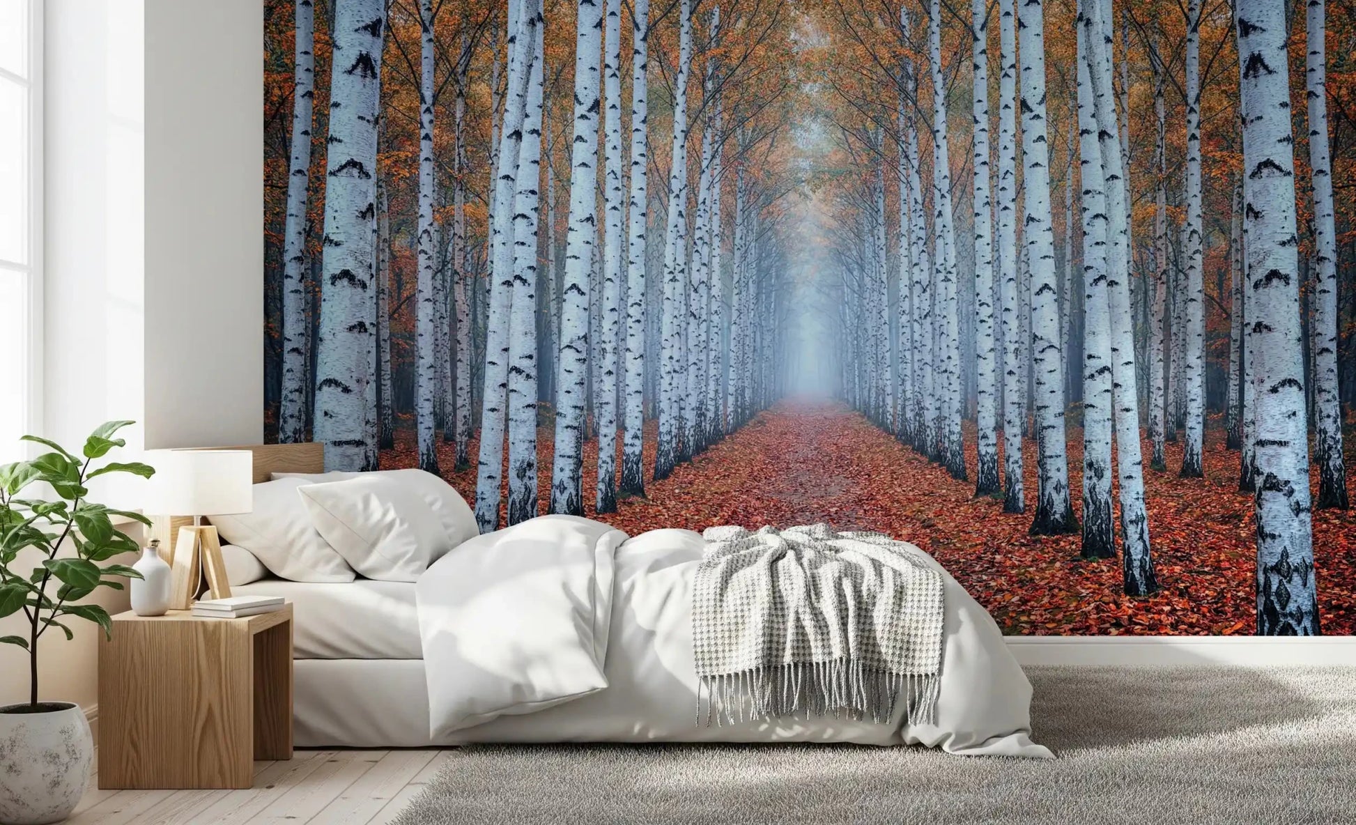Ethereal Autumn Birches Wall Mural
