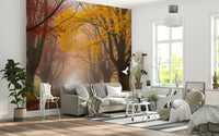 Ethereal Fall Road Wall Mural with misty woodland scenery