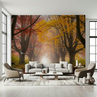 Autumn forest road wall mural in soft orange and gold tones