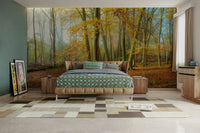 The beauty of nature, with misty tones and warm autumn hues

