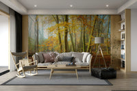 Ethereal Beauty of Woods Wall Mural with tall, misty trees

