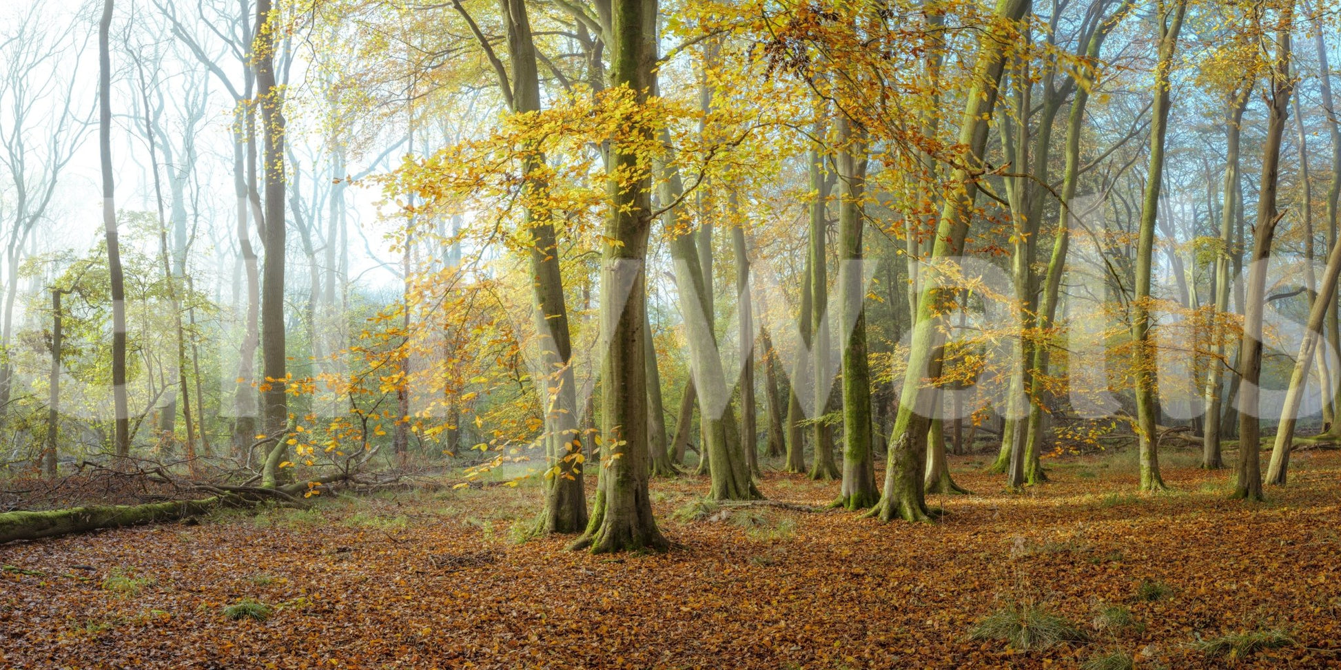 Perfect for creating a serene and restorative room environment

