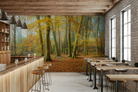 Soft light filtering through the trees creates a soothing effect

