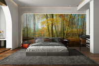 Adds a tranquil, relaxing vibe with its forest and mist imagery

