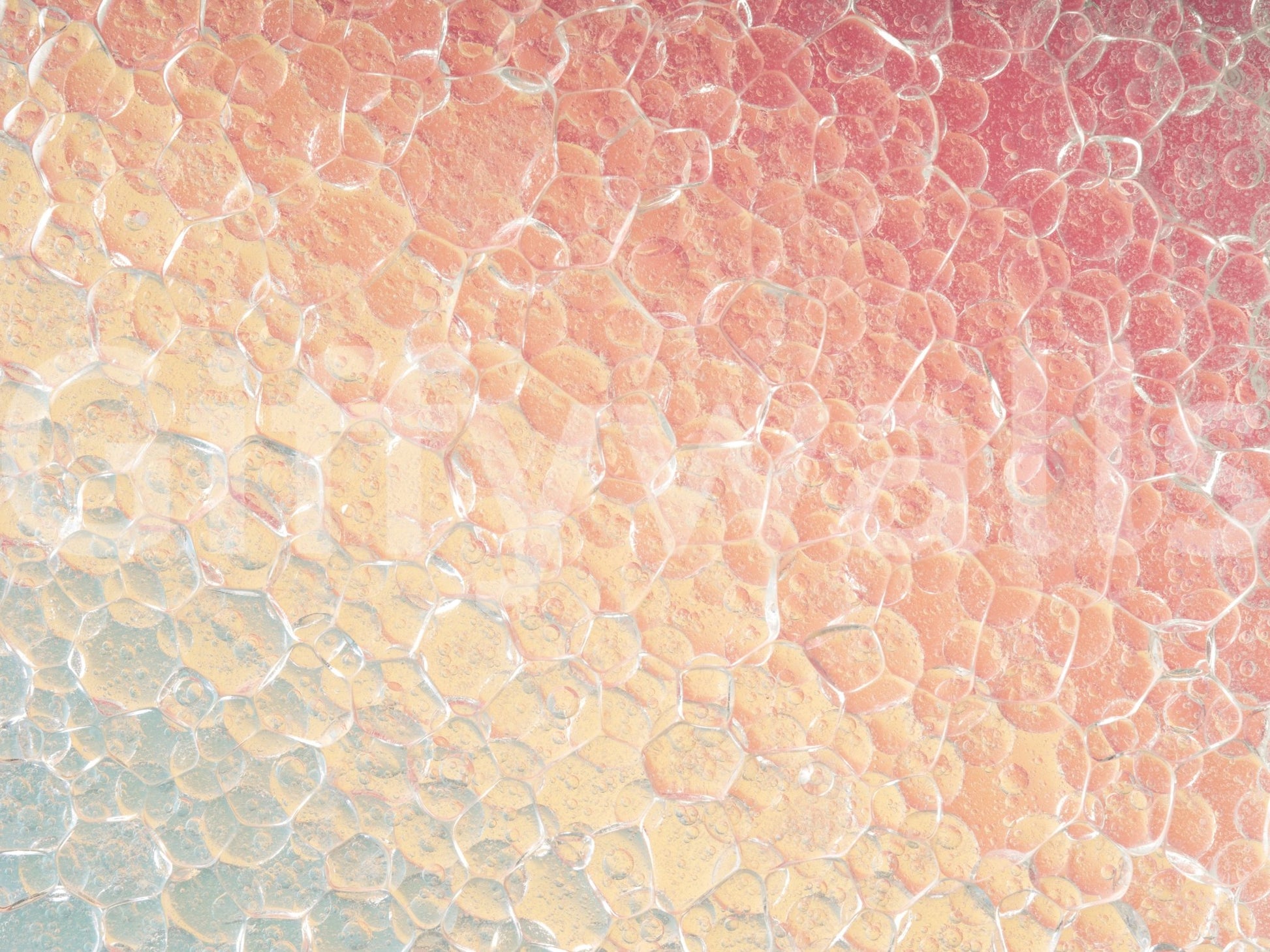 A high-quality minimalist wall mural for walls.

