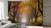 Serene woodland path wall mural in autumn colour palette