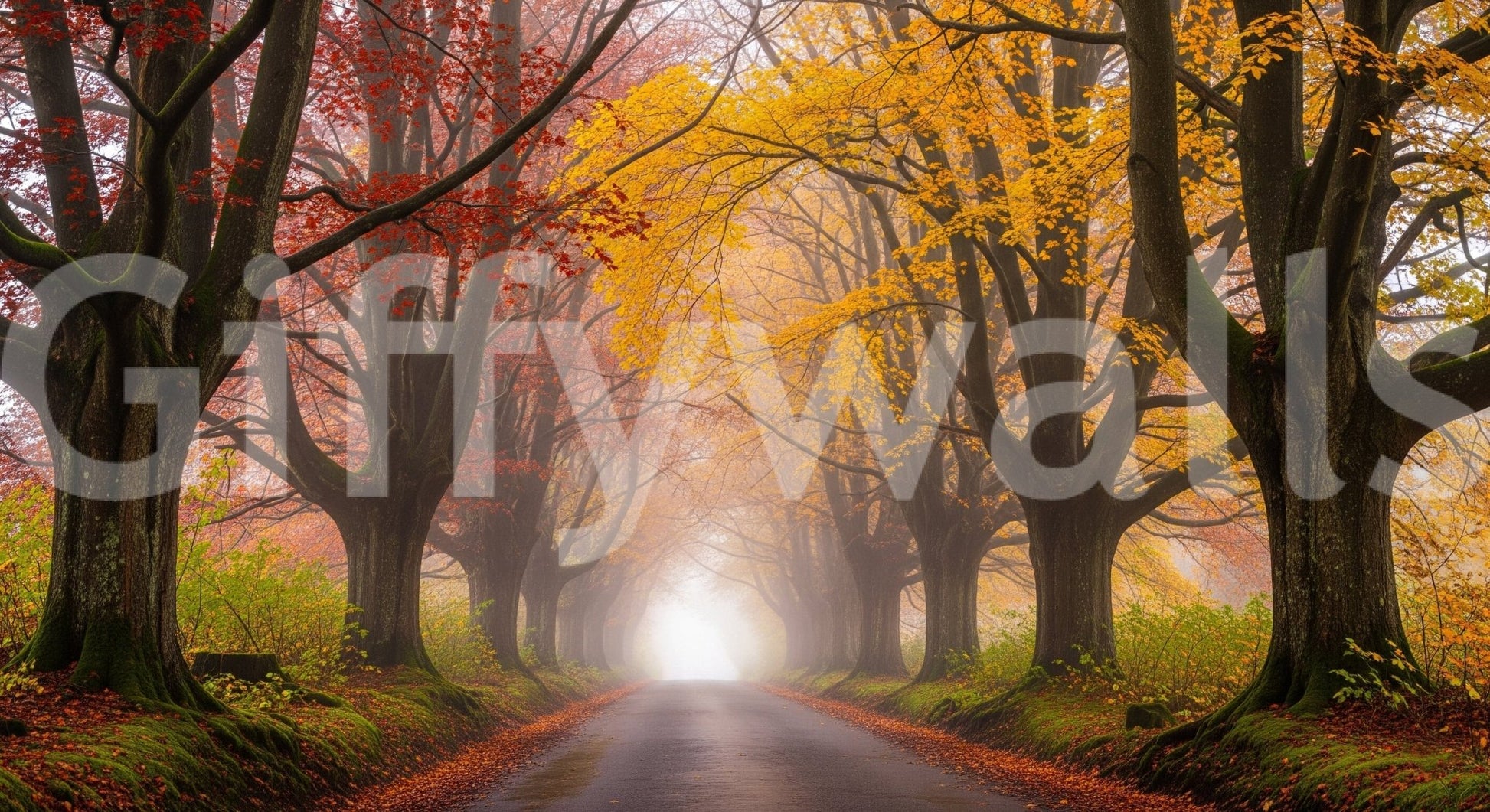 Ethereal fall road wall mural with misty golden trees and soft light.
