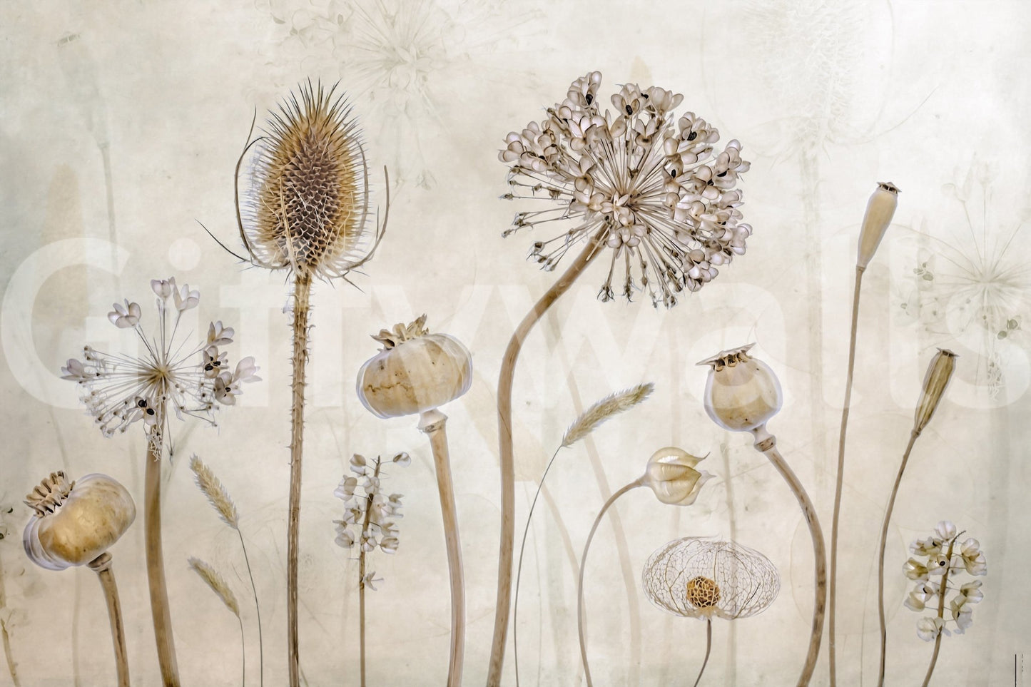 A high-quality serene flower wall mural for walls.

