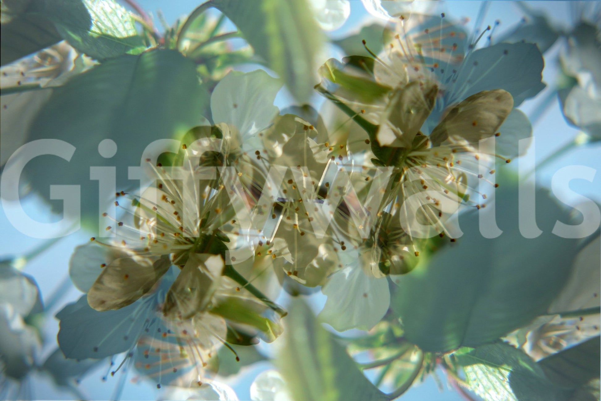 The Ethereal Floral mural gives the space a delicate and artistic touch.