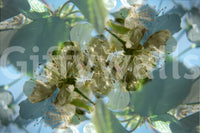 The Ethereal Floral mural gives the space a delicate and artistic touch.